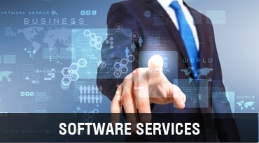 Software Services